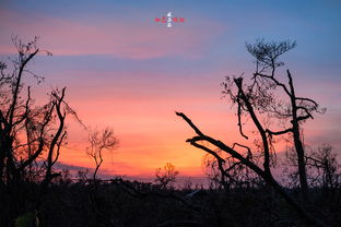 (残阳依旧是什么意思)残阳见旧山:感慨岁月沧桑,回首往事,心生感慨 (残阳依旧是什么意思)残阳见旧山:感慨岁月沧桑,回首往事,心生感慨