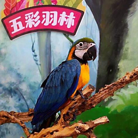 (探险文字游戏)探险奇遇：带你寻字探秘的网游世界