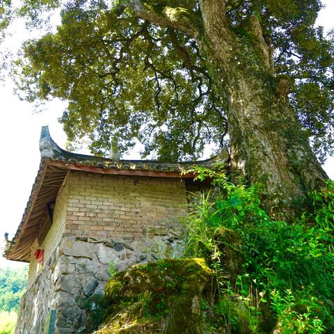 (无限时光音乐分享器)无限速歌曲：探究音乐中时间与空间的奇妙交错与融合