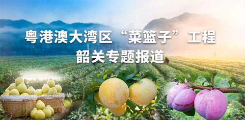 全员削水果咋上不去了呢？探讨团队协作与沟通中存在的问题及解决方案