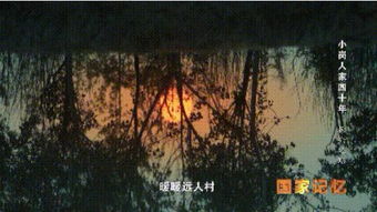 (艾人的农场)探秘艾人的庄园：一段关于自然、梦想与人文交融的奇幻旅程