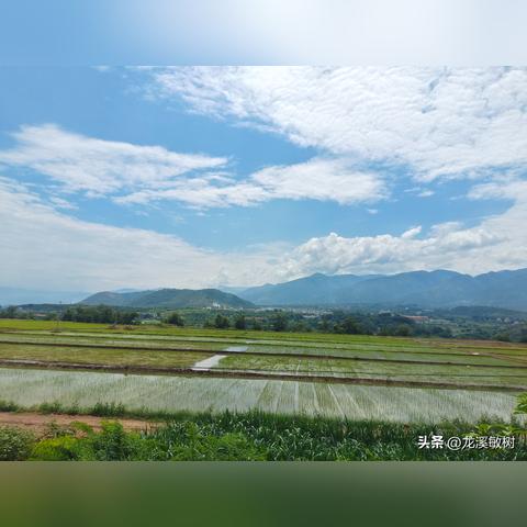 (遗址属于什么文化)遗址究竟是古代文明的遗迹还是实物文物呢? (遗址属于什么文化)遗址究竟是古代文明的遗迹还是实物文物呢?