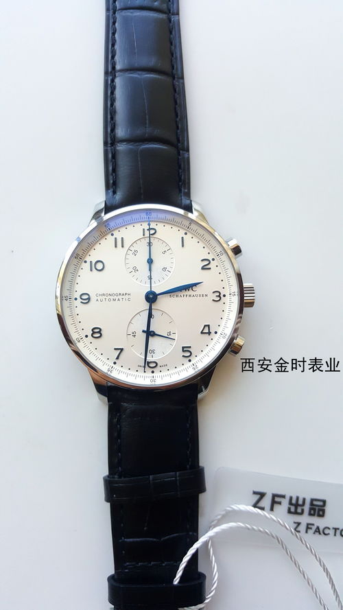 万国之王：朝现花璧，娇艳动人，独领风骚，引无数眼球驻足仰望