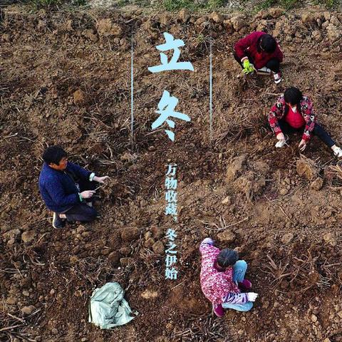 二十四节气带表什么？这个古老的中国传统如何影响农事和生活节奏？