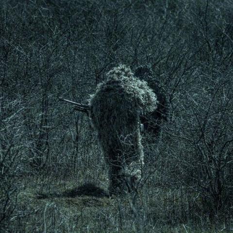 特种兵中的无影手：聚焦当代革新型狙击手如何依赖科技提升战场作战效率和准确度