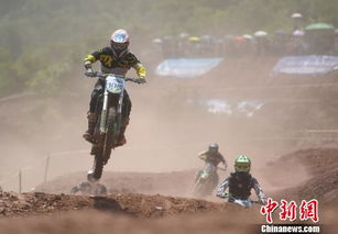 冲锋活动：挑战自我，突破极限，迎接无尽挑战，释放激情与活力