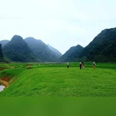 (角落小伙伴农场汉化版)角落小伙伴的农场生活:最新版本更新内容全解析