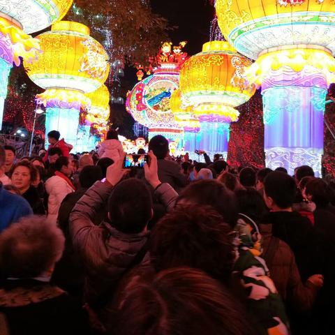 (疯狂恐龙礼包码)疯狂恐龙内置MOD菜单最新版:一键式游戏体验优化及功能增强盛宴