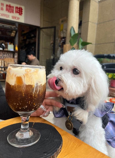 (小咖啡狗图片大全)小狗咖啡馆免广告,体验无限钻石的奇妙时光
