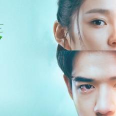 山海经幻想录最强阵容大揭秘,打造你心目中最完美的英雄梦之队