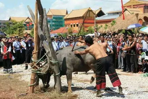 (辛巴族在那个国家)世界最开放部落辛巴族:传承千年文化,与世隔绝的自然乐园