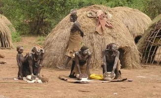 (辛巴族在那个国家)世界最开放部落辛巴族:传承千年文化,与世隔绝的自然乐园 (辛巴族在那个国家)世界最开放部落辛巴族:传承千年文化,与世隔绝的自然乐园