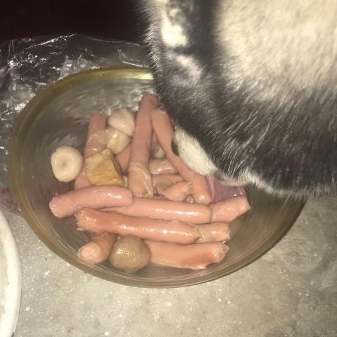 (小白解说香肠派对)香肠派对小小明解说:带你领略游戏的精彩瞬间与技巧分享 (小白解说香肠派对)香肠派对小小明解说:带你领略游戏的精彩瞬间与技巧分享