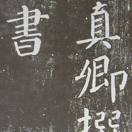 (极域是哪个公司)域极天下太坑了：深入剖析其背后的市场真相与用户体验