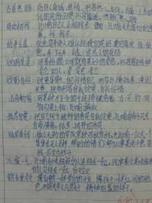 探究成语历史背景:怒火燎原的内涵解析与在现代社会的现象演绎