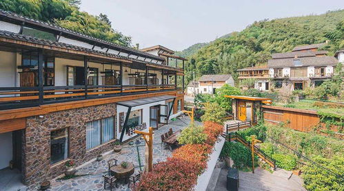 (蛋屋哪里有售)探秘蛋屋民宿：与自然共生的别具特色住宿体验