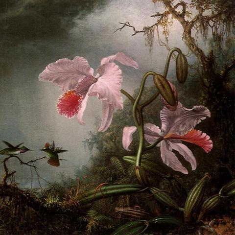 (东西宫略电视剧国语版)东西宫略粤语版在线观看：让你身临其境，感受激动人心的剧情