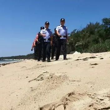 (航海与家园攻略)航海与家园平民最强阵容:打造属于自己的海上小世界