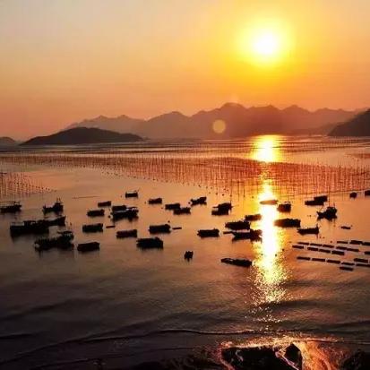 (航海与家园攻略)航海与家园平民最强阵容:打造属于自己的海上小世界 (航海与家园攻略)航海与家园平民最强阵容:打造属于自己的海上小世界