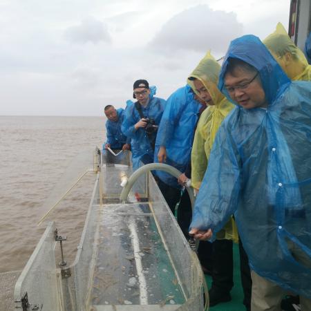 (航海与家园攻略)航海与家园平民最强阵容:打造属于自己的海上小世界 (航海与家园攻略)航海与家园平民最强阵容:打造属于自己的海上小世界