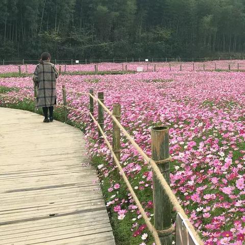(俄罗斯方块 腾讯)「探究腾讯俄罗斯方块为何在市场上消失的背后原因及其影响」