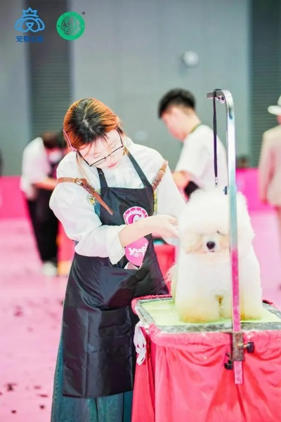 (疯狂宠物的照片)2024年疯狂宠物秀免费观看福利大放送,惊喜连连,别错过! (疯狂宠物的照片)2024年疯狂宠物秀免费观看福利大放送,惊喜连连,别错过!