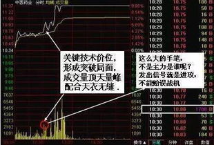 (道氏技术深度分析)探讨道氏技术上涨的原因及影响因素 (道氏技术深度分析)探讨道氏技术上涨的原因及影响因素
