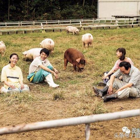 (电脑音量小喇叭不见了怎么办)电脑声音小喇叭不见了怎么办?突如其来的问题该如何解决? (电脑音量小喇叭不见了怎么办)电脑声音小喇叭不见了怎么办?突如其来的问题该如何解决?