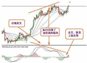 (反转123)揭秘反转21克全解锁的神秘力量:究竟隐藏了什么秘密?