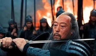 新生活新挑战:穿越三国成为刘表之子,如何在乱世中保护家族与国土