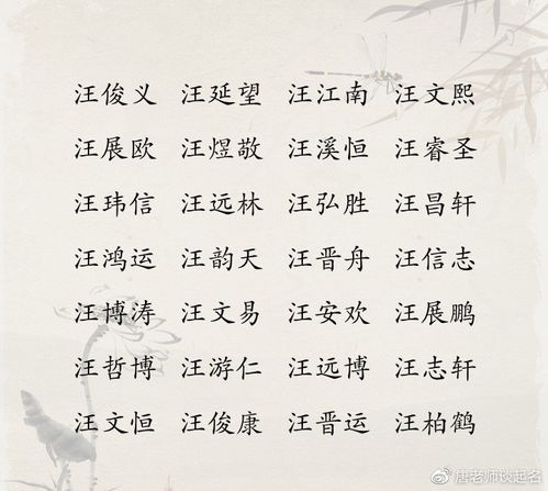 文嘉名字的含义及寓意:揭秘文嘉二字的文化内涵和象征意义,原名的来源和含义解读