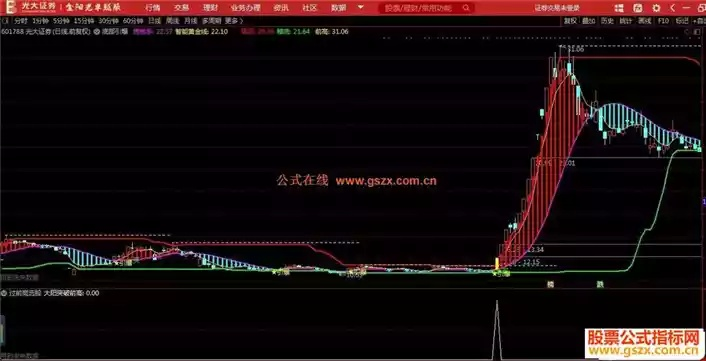 大智慧股票软件如何通过自编公式提升投资效率和策略实施效果?