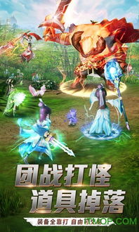 (仙灵觉醒飞羽怎么搭配伙伴)仙灵觉醒飞羽技能搭配与攻略详解，助您轻松驾驭游戏世界