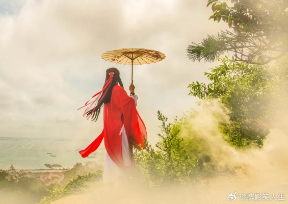 (世间事纷繁紊杂)世间事难遂人愿，纷繁无常唯剑舞龙风