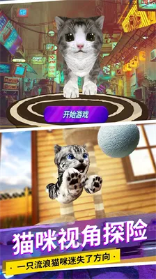 发现你的猫内置菜单mod最新版，顷刻间的惊喜与感动